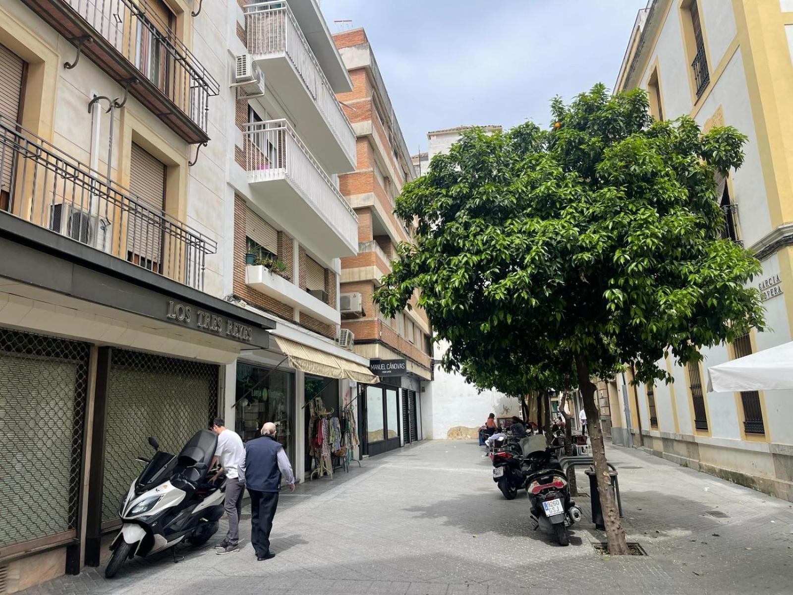 Apartamentos Azonaicas Centro Tendillas 科爾多瓦 外观 照片